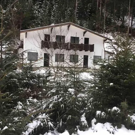 Apartment грабовець Mizhhirya (Transcarpathia)