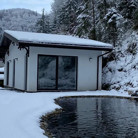 грабовець Apartment