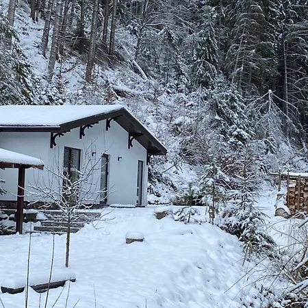 Apartment грабовець