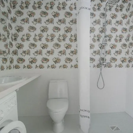 грабовець Apartamento Mizhhirya (Transcarpathia)