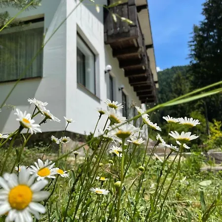 Apartamento грабовець