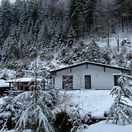 грабовець Apartamento *