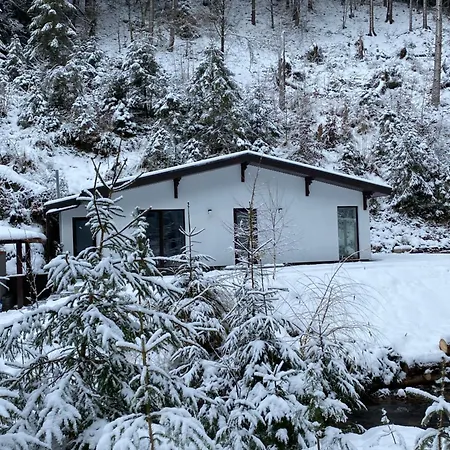 грабовець Apartamento