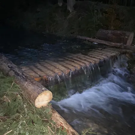 грабовець Apartamento Mizhhirya (Transcarpathia)