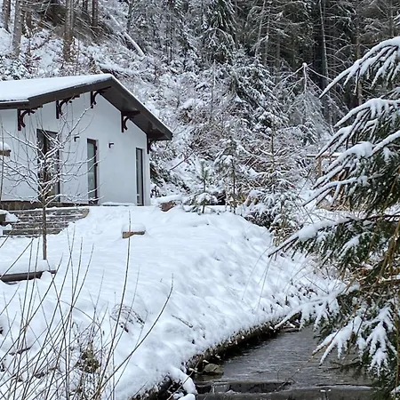 Apartamento грабовець *